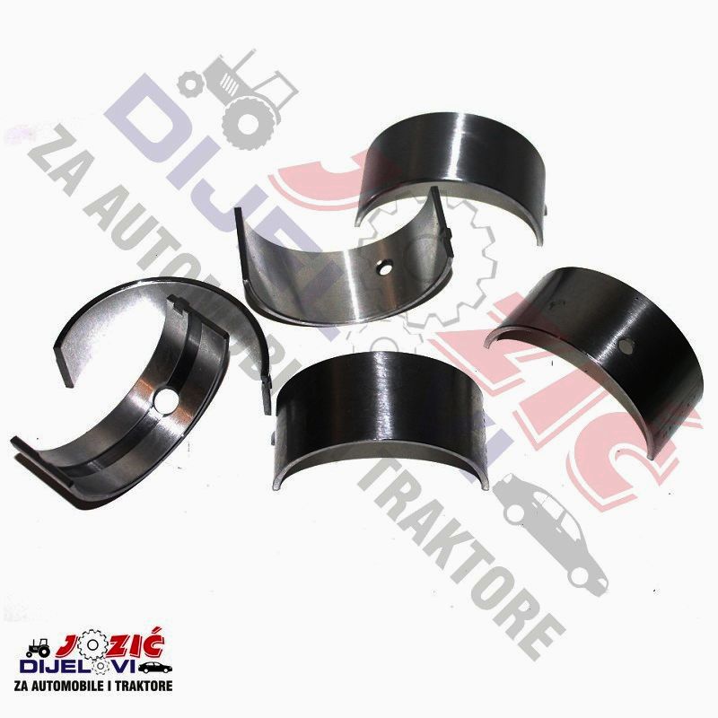 Daisy on the Ohoopee